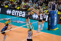 625A6193.jpg