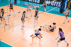 625A8524.jpg