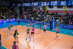 625A3397.jpg