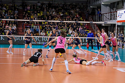625A7874.jpg
