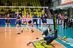 41-bCgPRardoXc.jpg