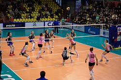 625A8846.jpg