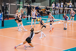 625A8659.jpg