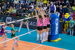625A3416.jpg